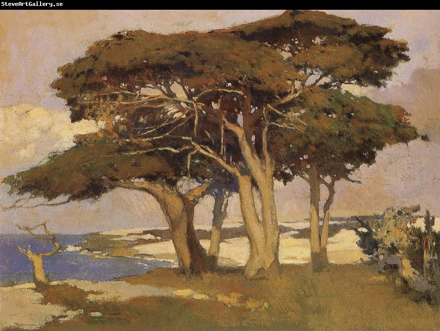 Arthur Mathews Monterey Cypress